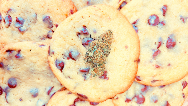 Les meilleurs Cookies au CBD