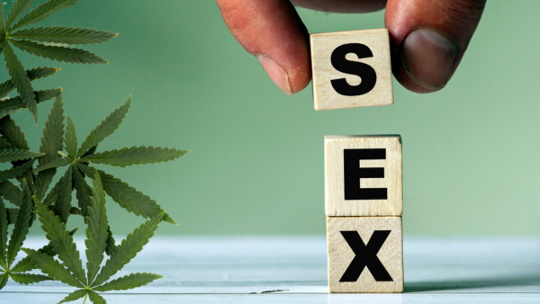 Sexe et cannabis : comment cette plante peut intensifier votre plaisir sexuel